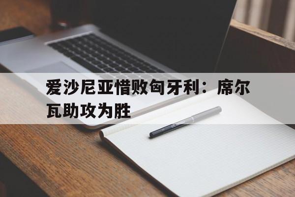 B体育-爱沙尼亚惜败匈牙利：席尔瓦助攻为胜